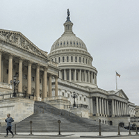 Picture of Capital
